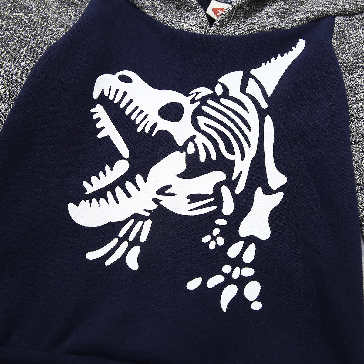 Tweedelig Outfit Hoodie met  Dinosaurus Print & Broek voor Baby's/Peuters