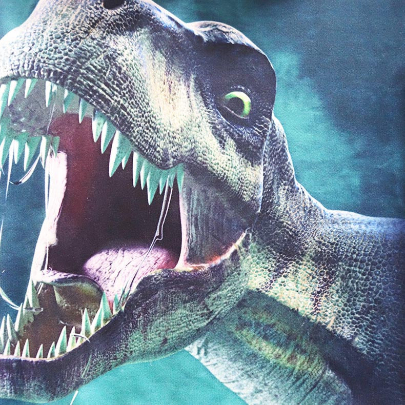 Hoodie met Dinosaurus Print in Europese & Amerikaanse Stijl voor Kinderen / Tieners